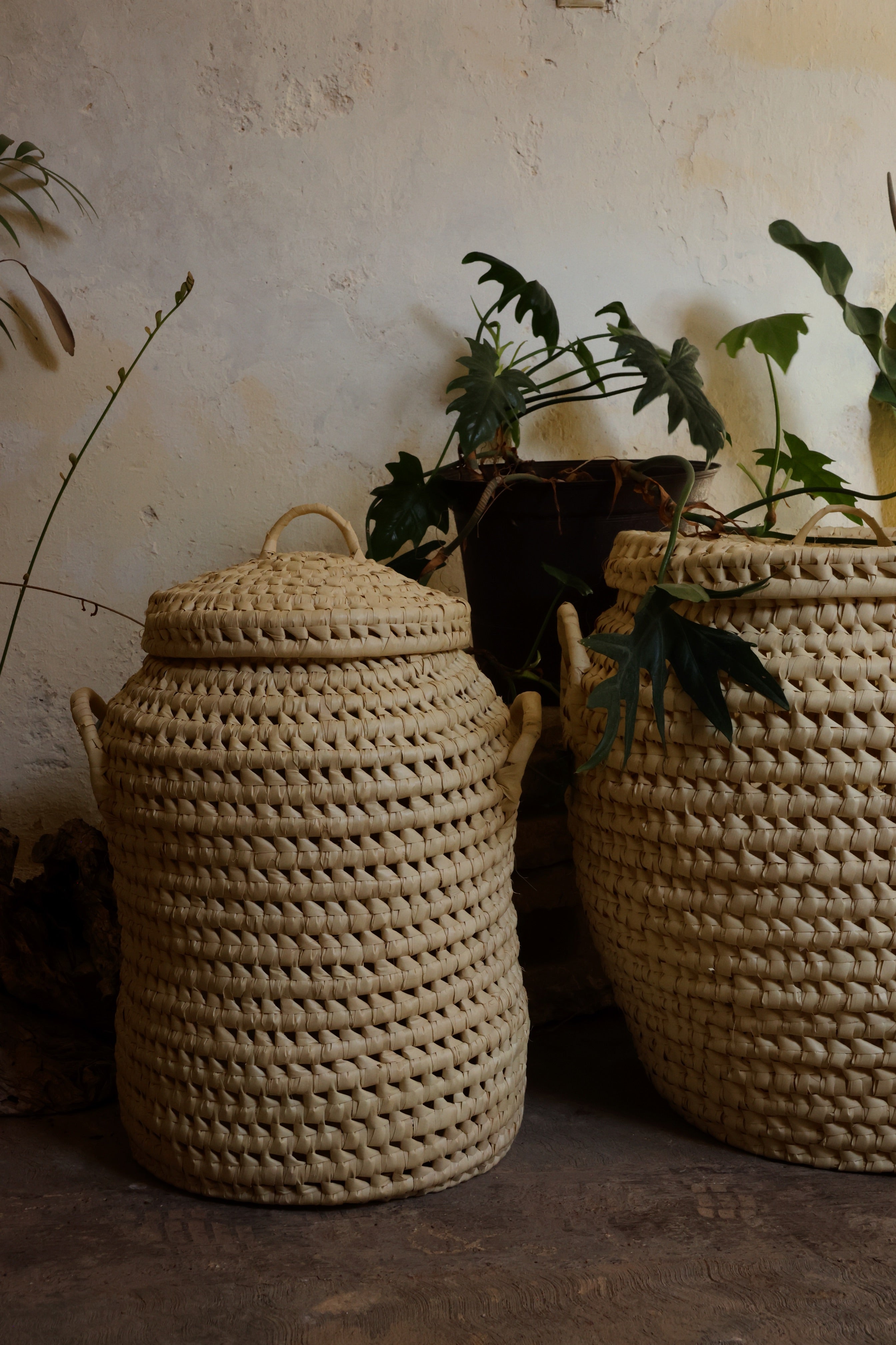 Cesto Izamal