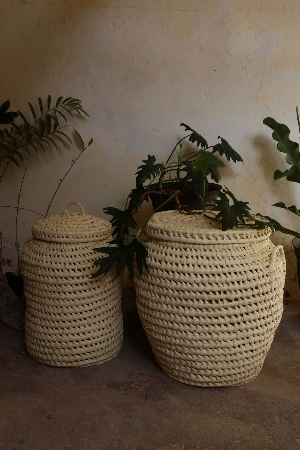 Cesto Izamal