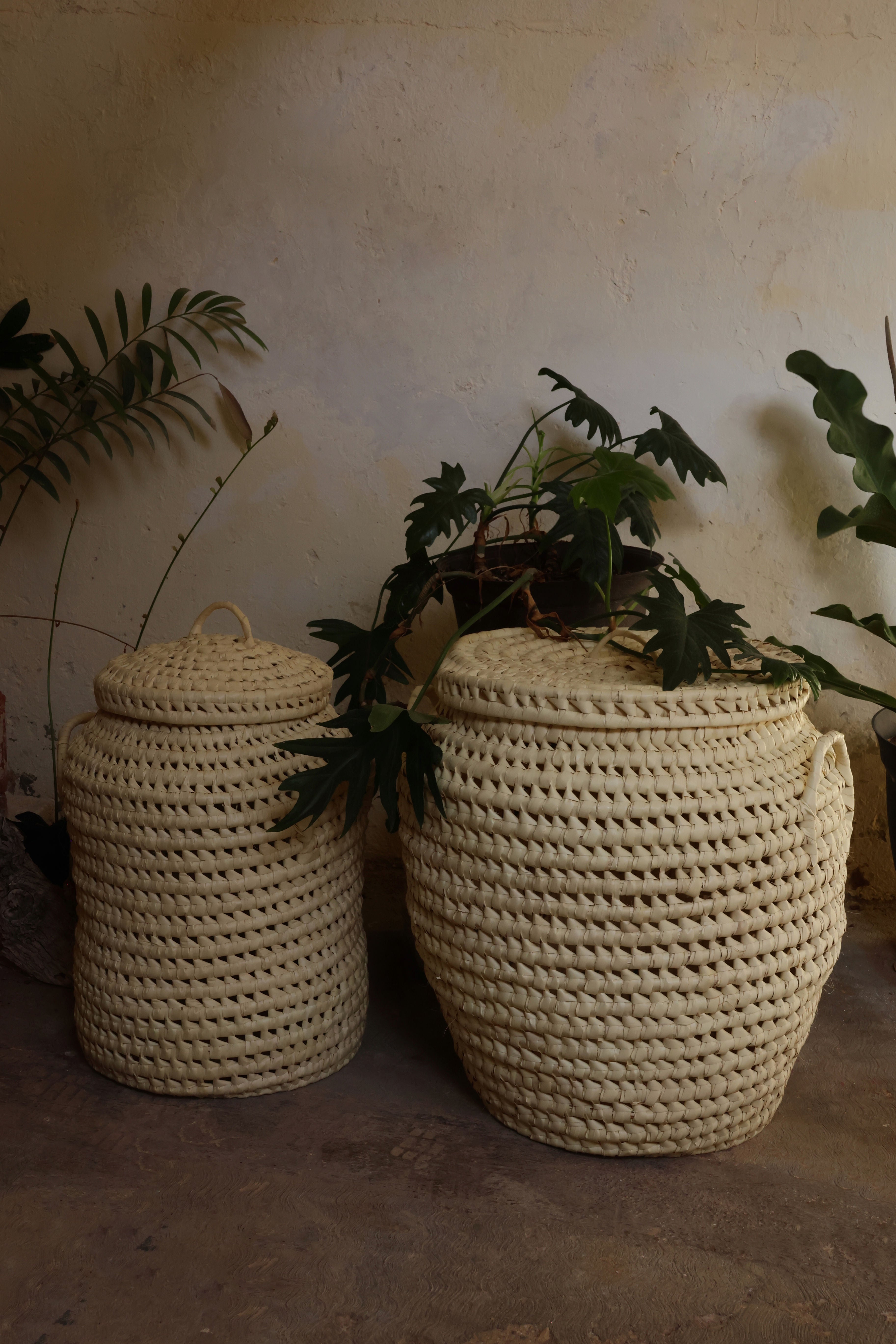 Cesto Izamal